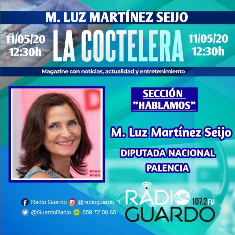 Mari Luz Martínez Seijo Diputada Provincial